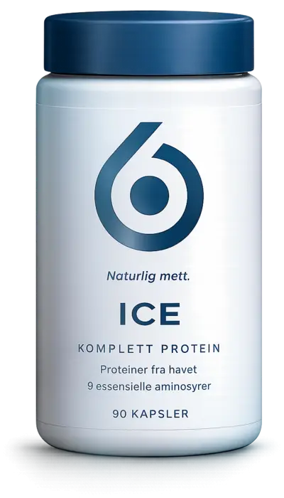 6IX ICE — komplett protein
